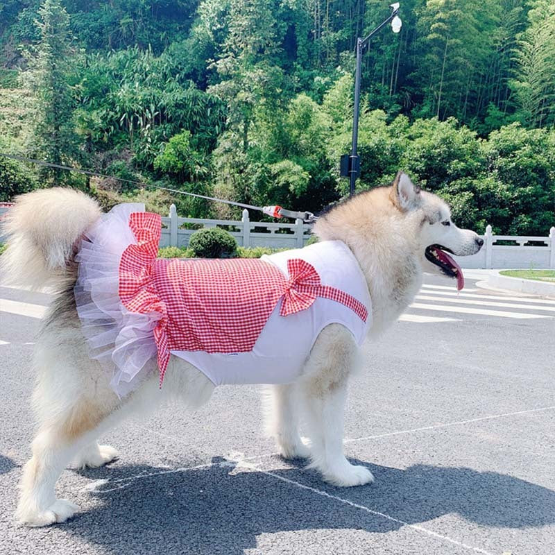 Dog Clothes Princess Dog Costume Labrador Golden Retriever Big Dog Clothes by DC-THE CEO