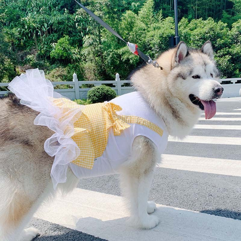 Dog Clothes Princess Dog Costume Labrador Golden Retriever Big Dog Clothes by DC-THE CEO