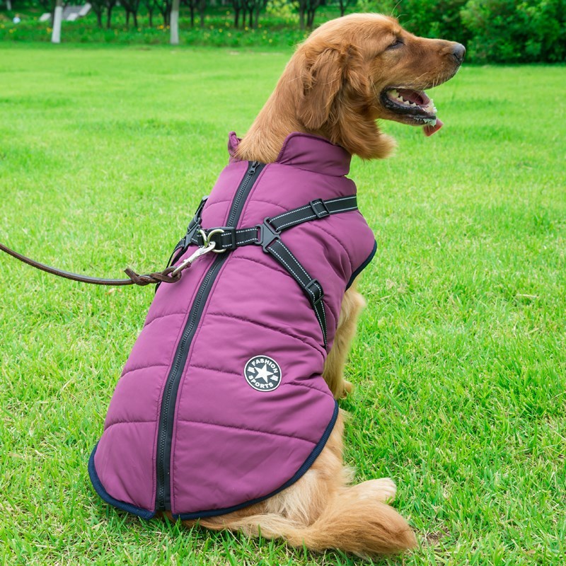 Dog Clothes Chest Back Integrated Cotton Vest Pet Cotton Clothes Winter Clothes by DC-THE CEO