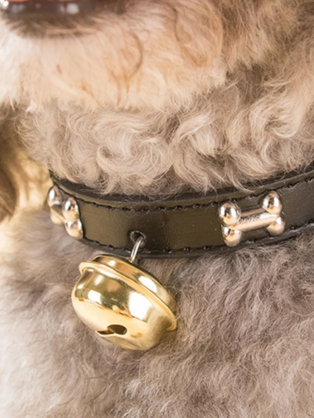 Leather Pet Collar with Bell by Trendsi