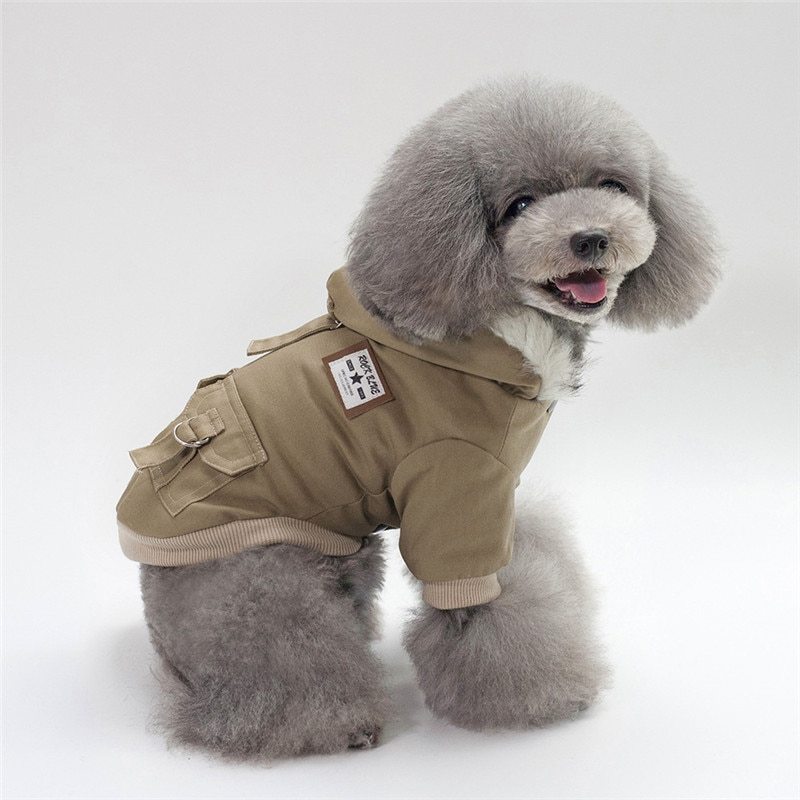 Cap dog coat by DC-THE CEO