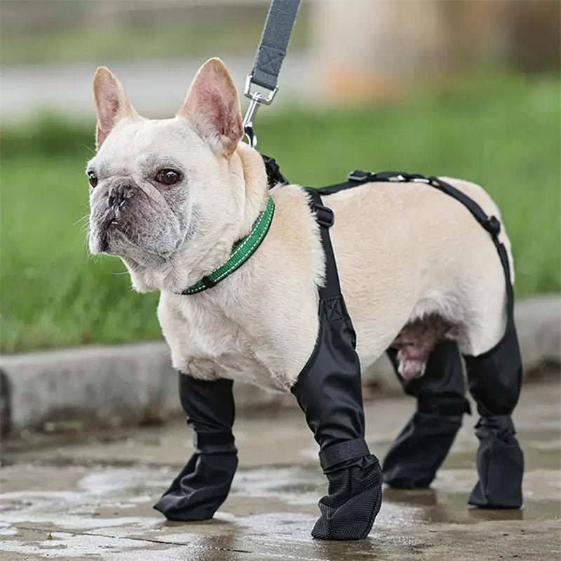 Waterproof Dog Shoes Adjustable Dog Boots Pet Breathbale Shoes For Outdoor Walking Soft French Dog Shoes Pets Paws Protector Pet Products by DC-THE CEO