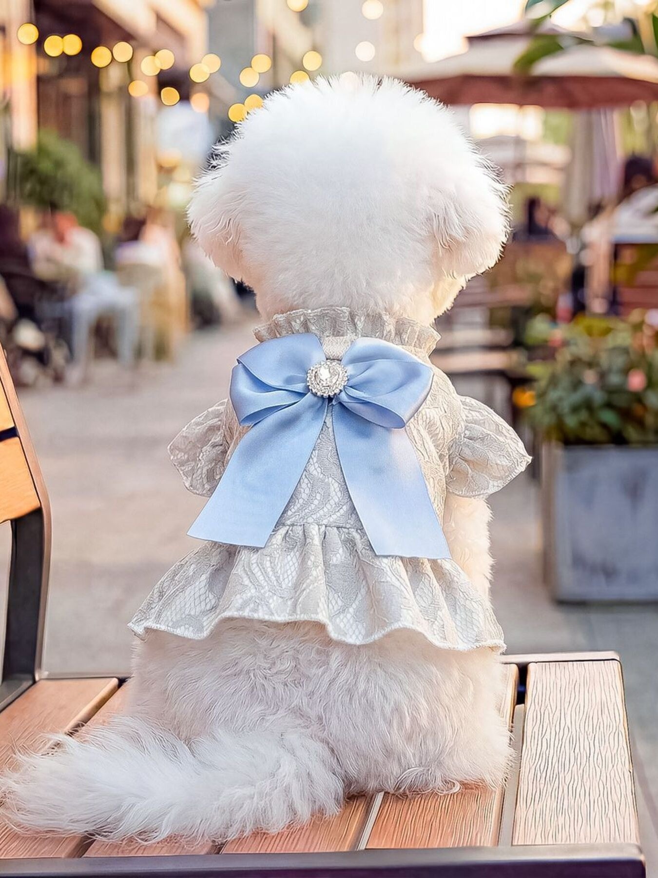 Ruffled Pet Dress with Bow by Trendsi