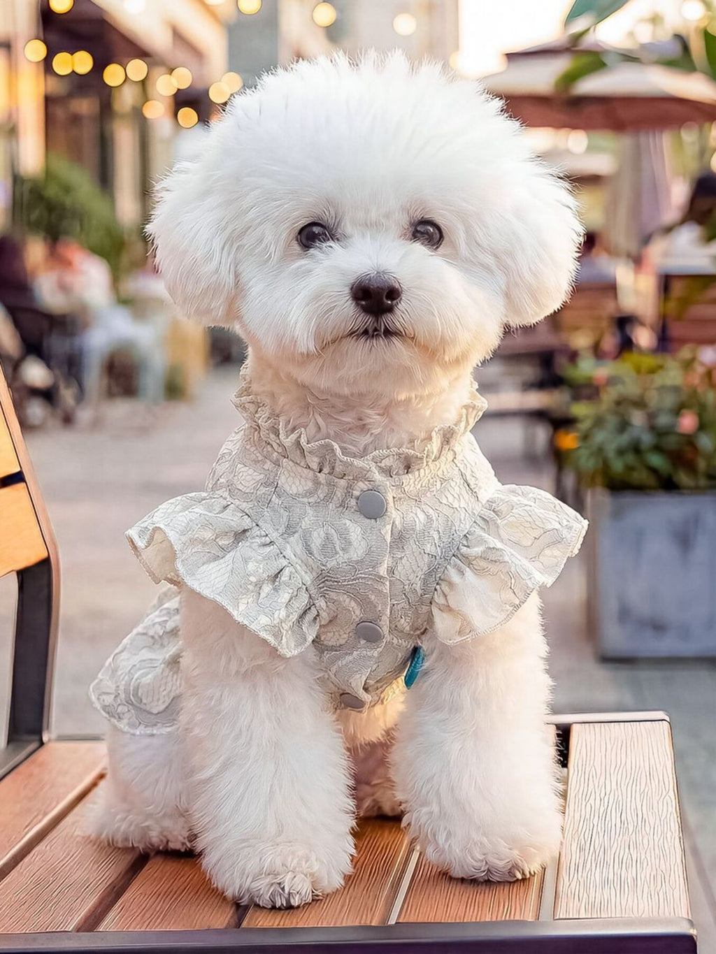 Ruffled Pet Dress with Bow by Trendsi