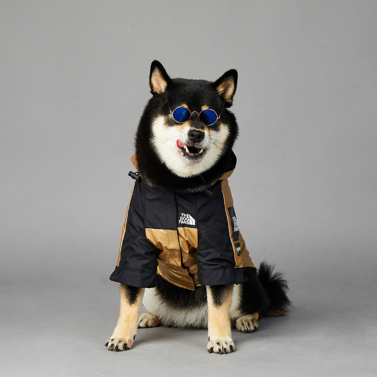 Dog Large Dog Raincoat Pet Jacket by DC-THE CEO